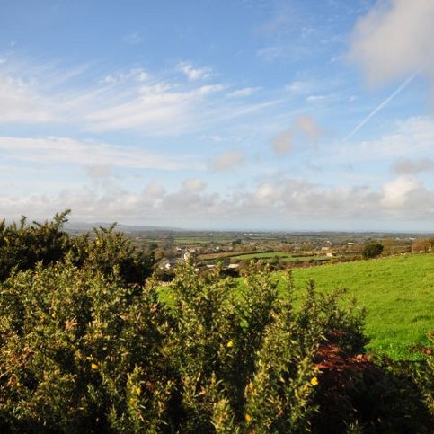 FHSWE113 Thumbnail 9