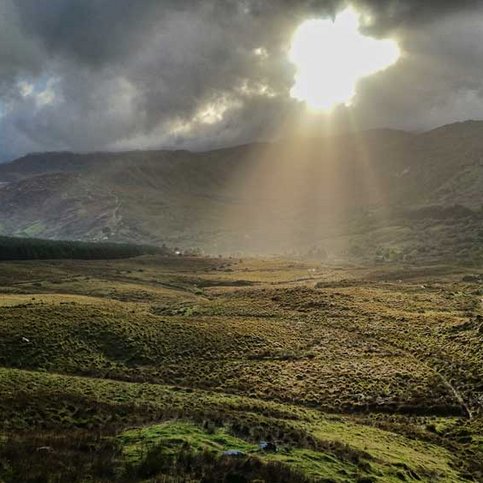 BAIRL100 Thumbnail 7