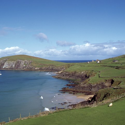 ARIRL210 Thumbnail 6