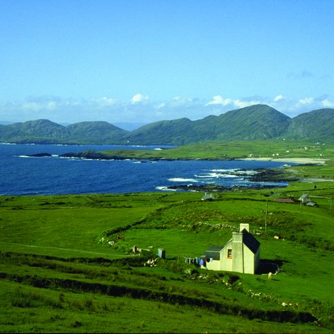 ARIRL210 Thumbnail 12