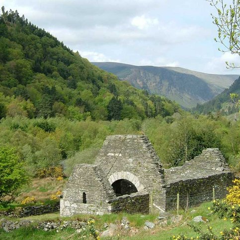 ARIRL210 Thumbnail 4