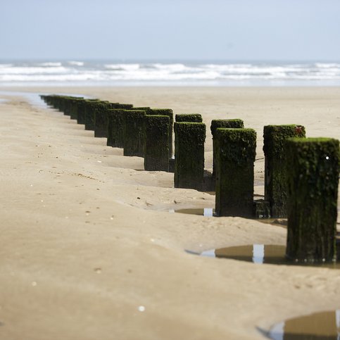 Küste Yorkshire BAENG160 Thumbnail 9