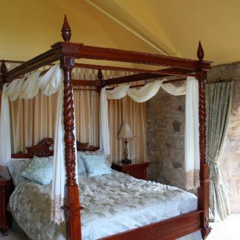 BBNOS100 Thumbnail 8