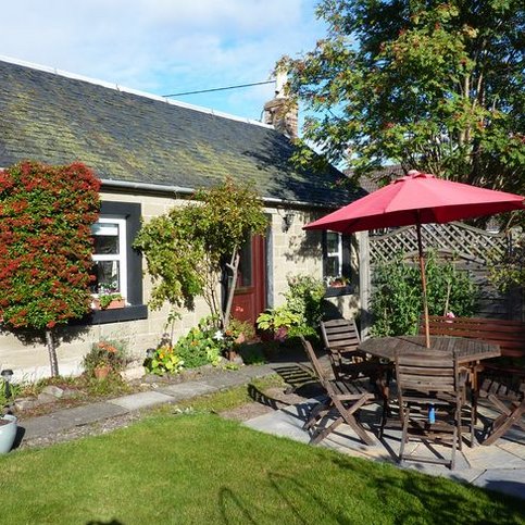 FHZZS101 Thumbnail 2