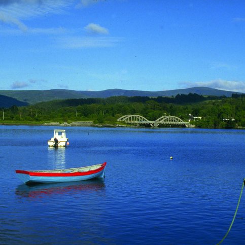 ARIRL210 Thumbnail 8