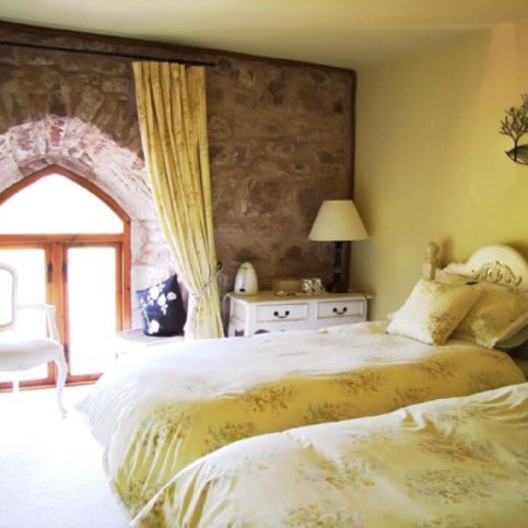 BBNOS100 Thumbnail 6