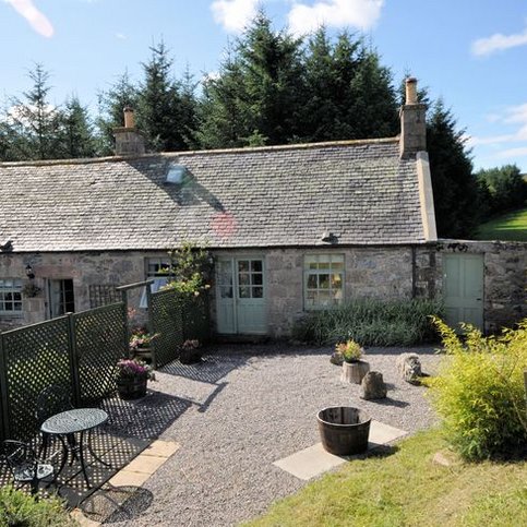 FHNOS103 Thumbnail 6