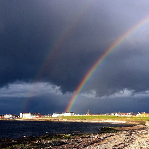 BRSCO120 Thumbnail 3