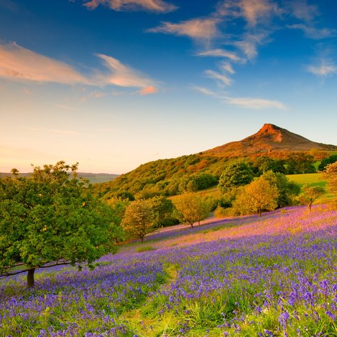 North Yorkshire, Roseberry Topping BAENG160 Thumbnail 10