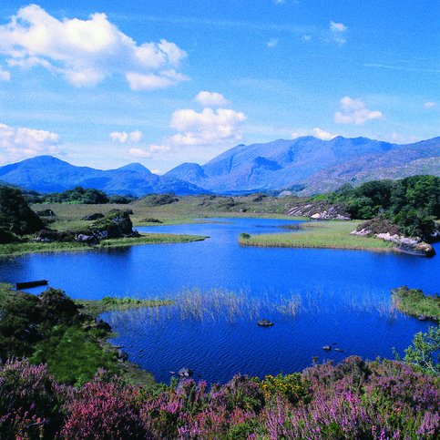 ARIRL210 Thumbnail 9