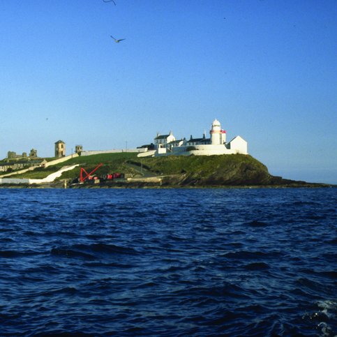 ARIRL210 Thumbnail 11