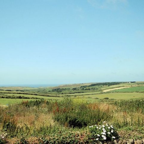 FHSWE117 Thumbnail 9