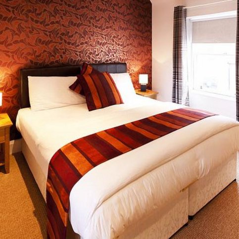 HLNWS101 Thumbnail 4