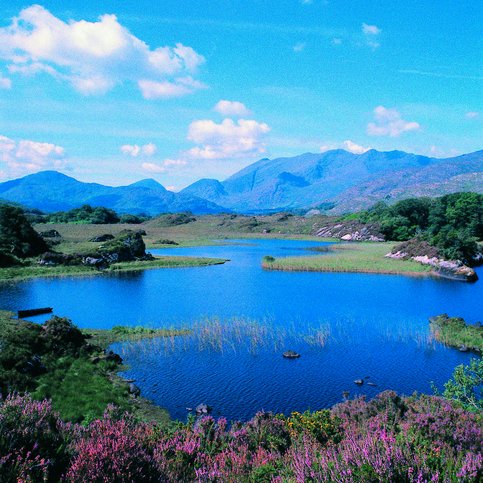 ARIRL210 Thumbnail 13