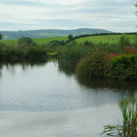 FHSWE121 Thumbnail 7