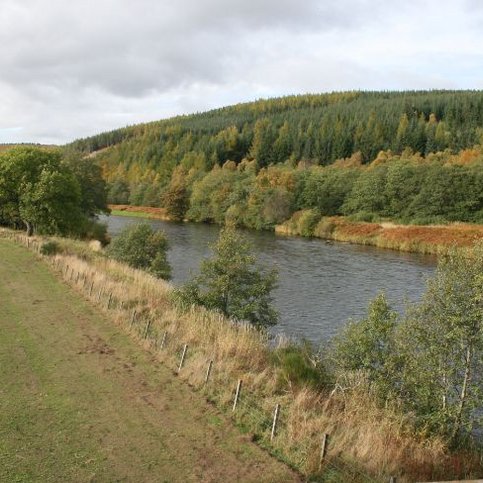 FHNOS101 Thumbnail 9