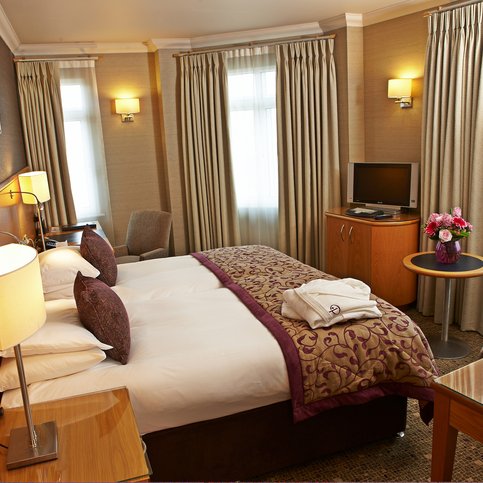 HLJER107 Thumbnail 6 HLJER107 Thumbnail 6